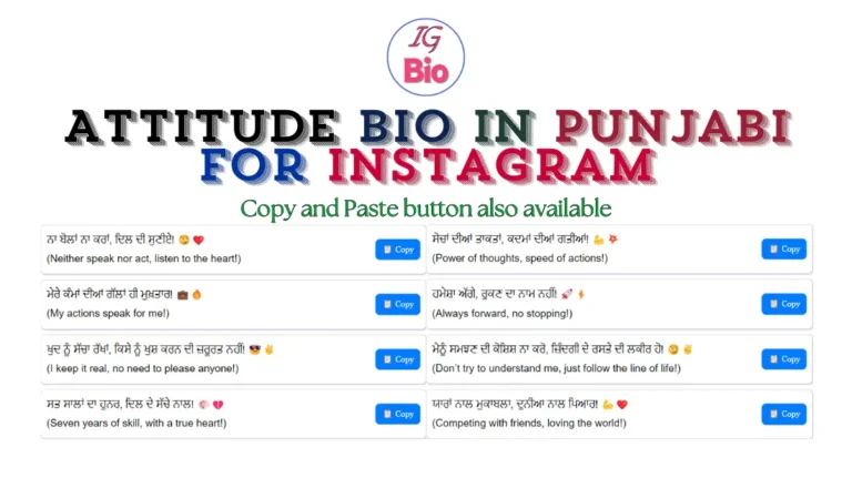 100+ Attitude Instagram Bio in Punjabi | Copy & Paste