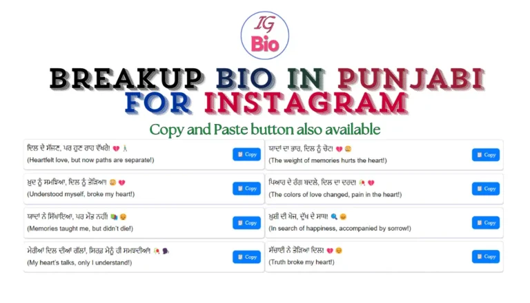 100+ Breakup Instagram Bio in Punjabi | Copy & Paste