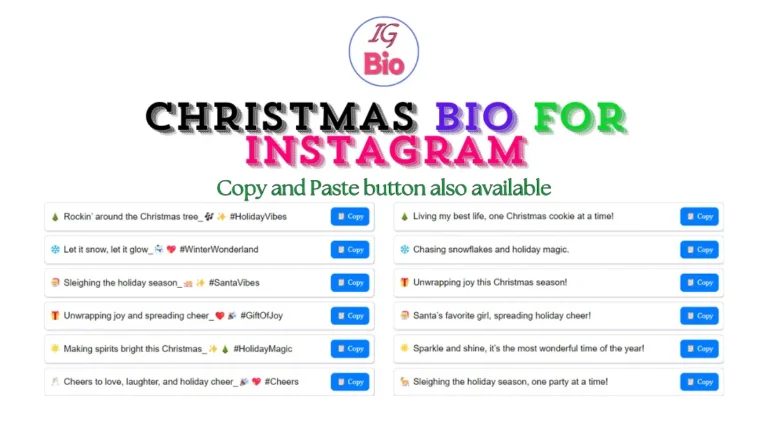 100+ Christmas Bio for Instagram | Copy & Paste