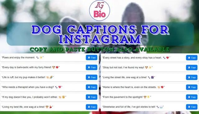 368+ Dog Captions For Instagram | Copy & Paste