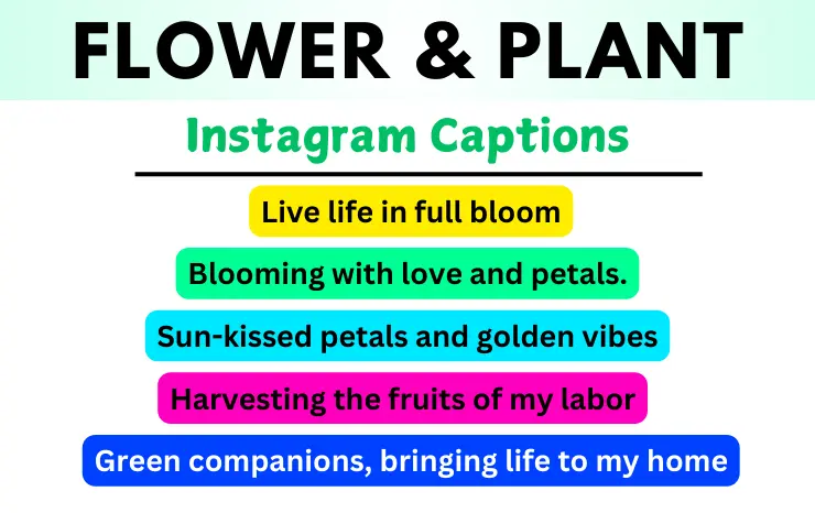 Flower & Plant Instagram Captions Image