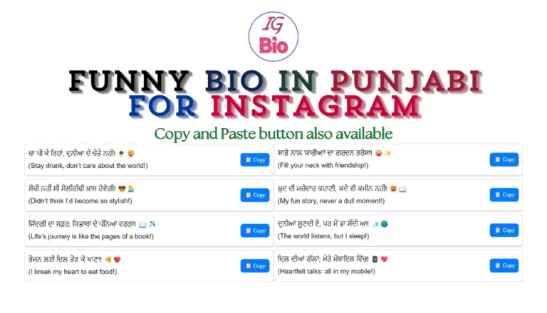 100+ Funny Instagram Bio in Punjabi | Copy & Paste