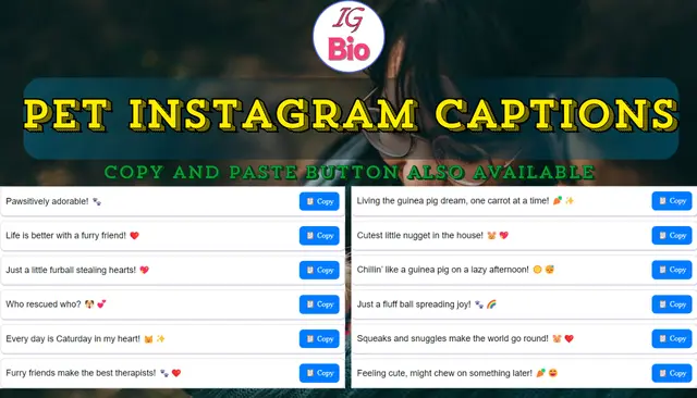 150+ Pet Instagram Captions | Copy & Paste