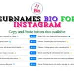 100+ Surnames Bio for Instagram | Copy & Paste