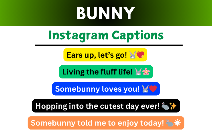 Bunny Captions For Instagram Image