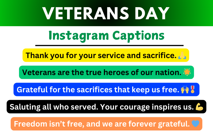 Veterans Day Captions for Instagram Image