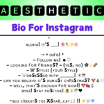 Aesthetic Bio Ideas for Instagram Image